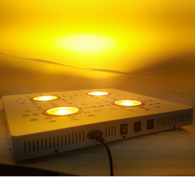 চাঙ্গ LED বৃদ্ধি আলো