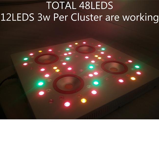 12LEDS 3W প্রতি ক্লাস্টার