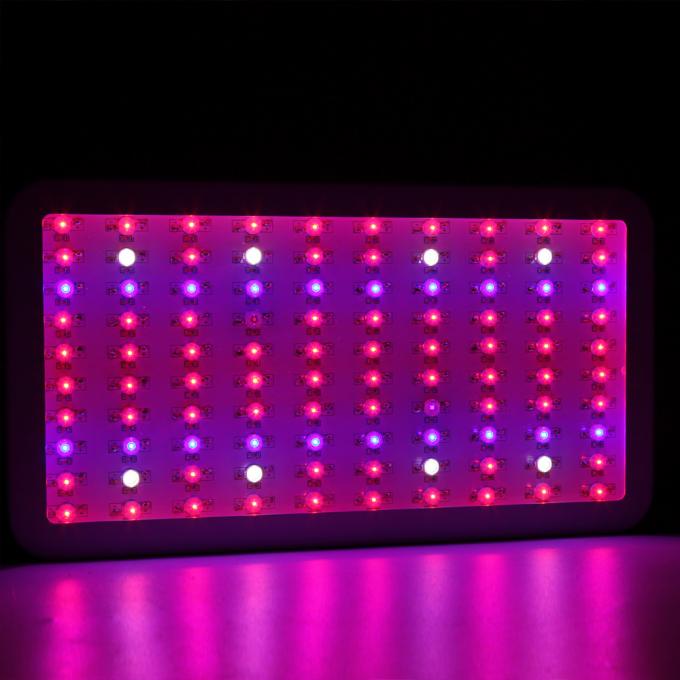 300W আলোকিত নেতৃত্বে